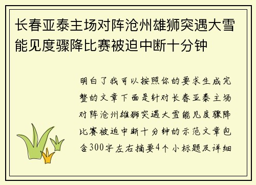 长春亚泰主场对阵沧州雄狮突遇大雪能见度骤降比赛被迫中断十分钟 长春亚泰主场对阵沧州雄狮突遇大雪能见度骤降比赛被迫中断十分钟