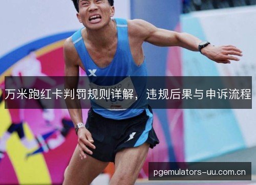 万米跑红卡判罚规则详解，违规后果与申诉流程